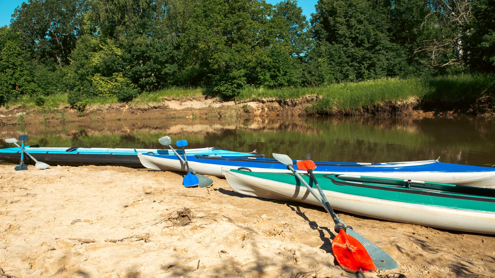 Kolorowe kajaki i wiosła leżące na piaszczystym brzegu rzeki, za wodą ściana drzew